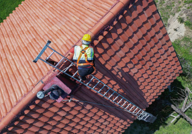 Best Asphalt Shingles Roofing  in Badieville, LA